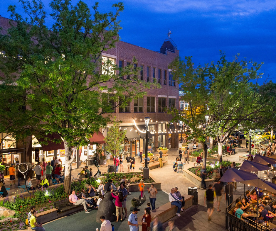 Vetted Local Businesses